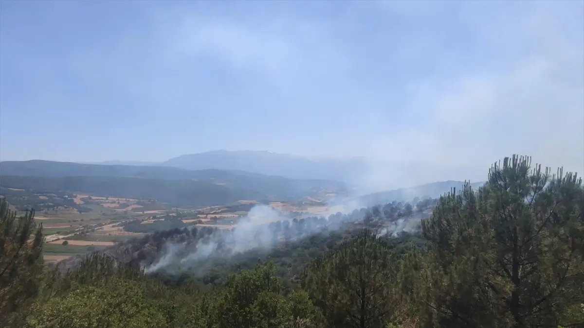 Bursa\'da Orman Yangını Kontrol Altına Alındı