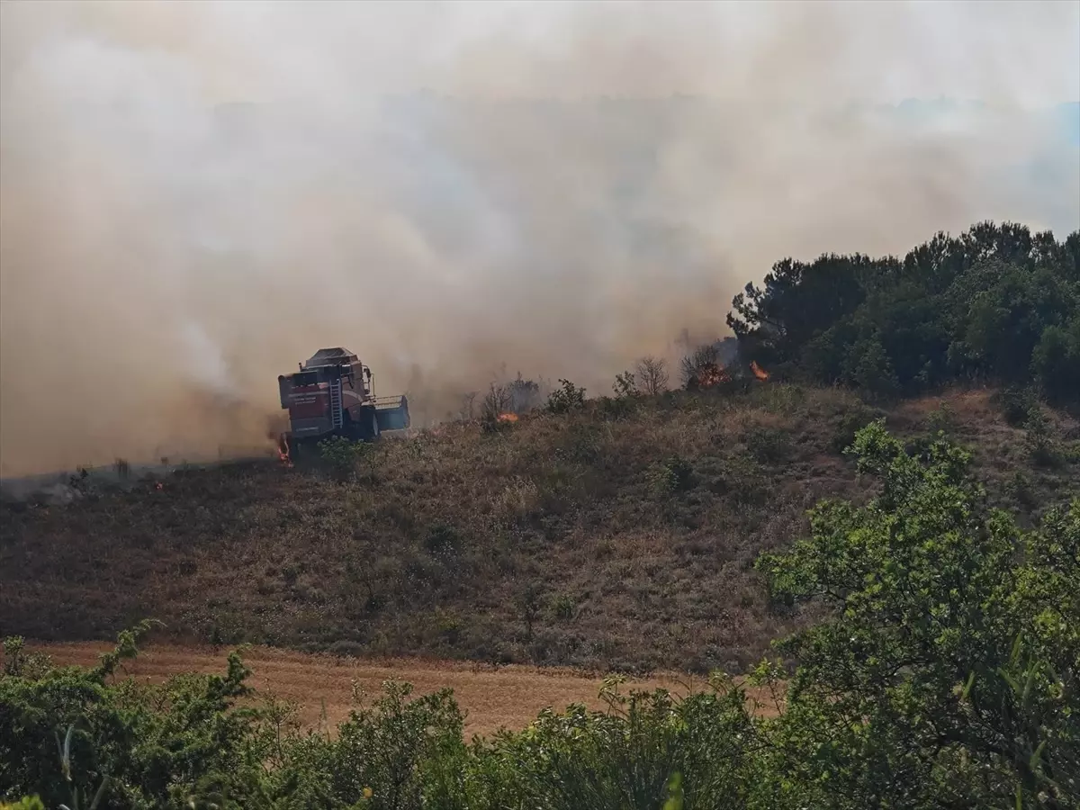 Bursa\'da Anız Yangını Ormana Sıçradı