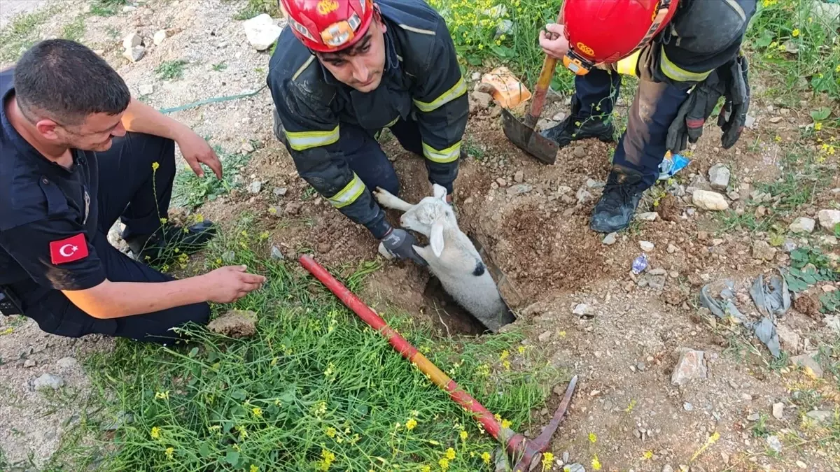İnegöl\'de Çukura Düşen Kuzu Kurtarıldı