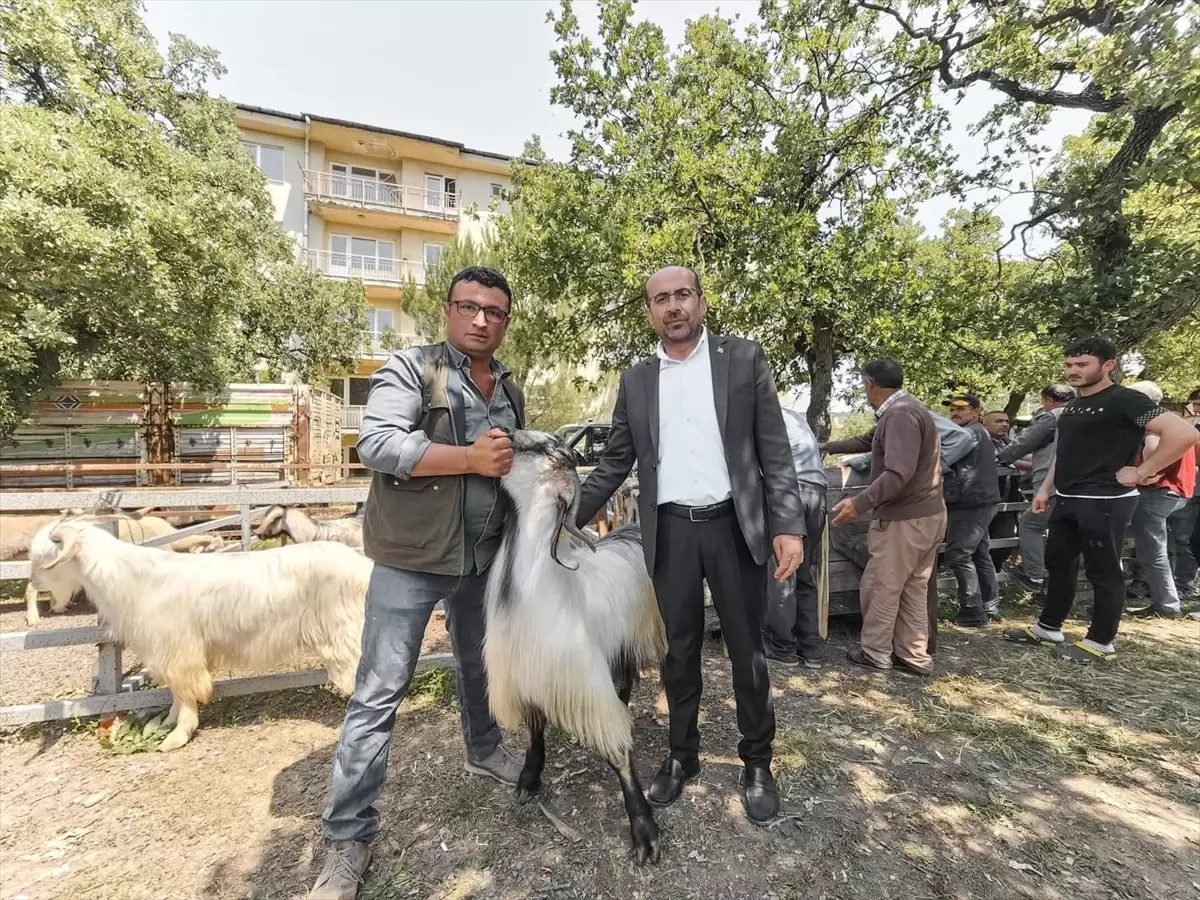 Orhaneli\'de Kurban Pazarı Ziyareti