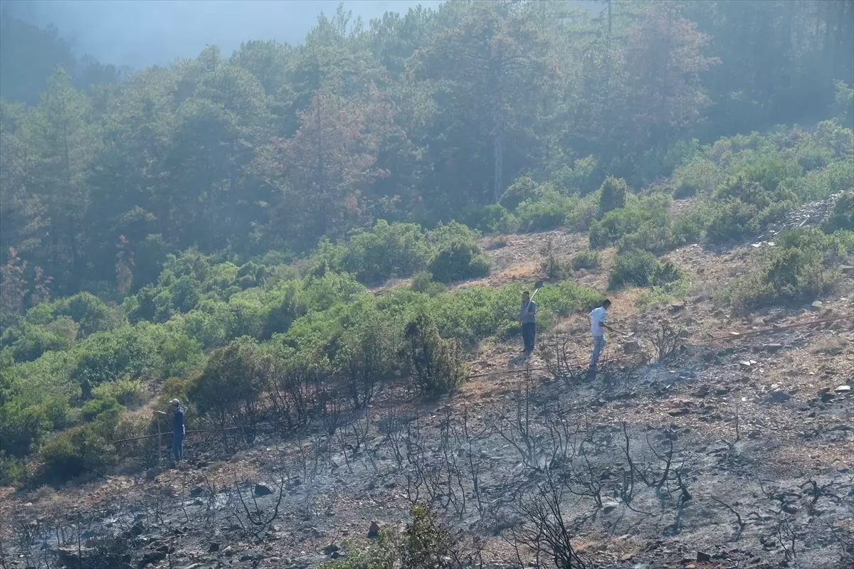 Orhaneli\'nde Orman Yangını Kontrol Altında