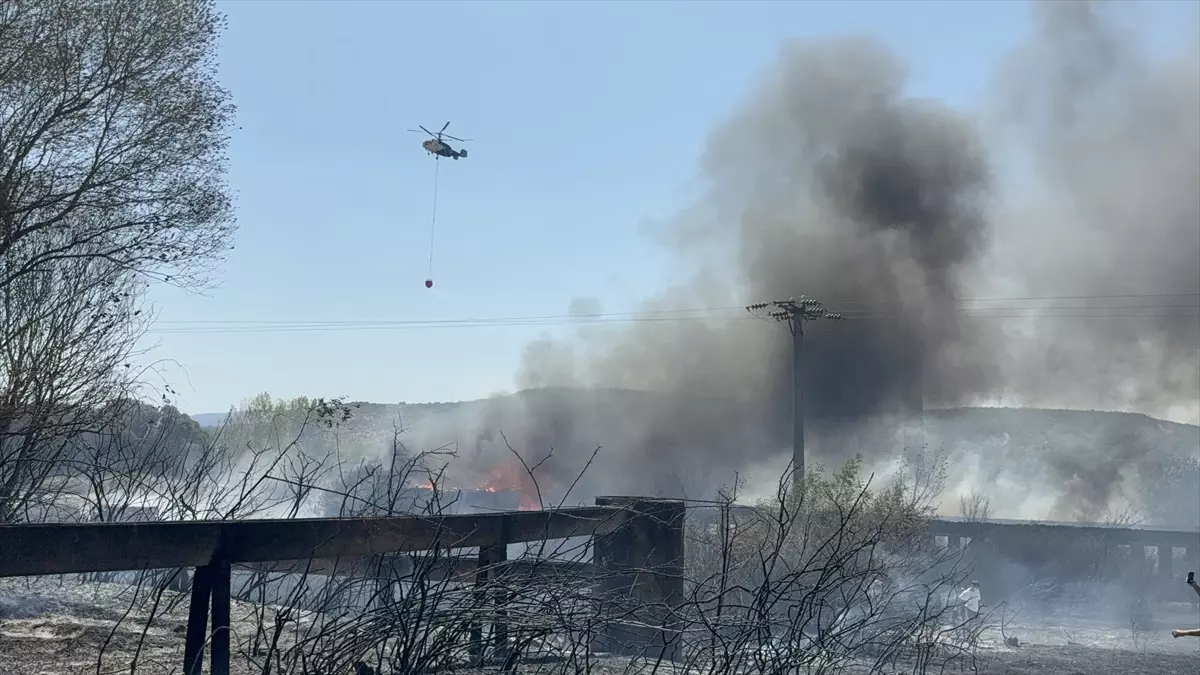 Çan\'da Tarım Arazisinde Yangın