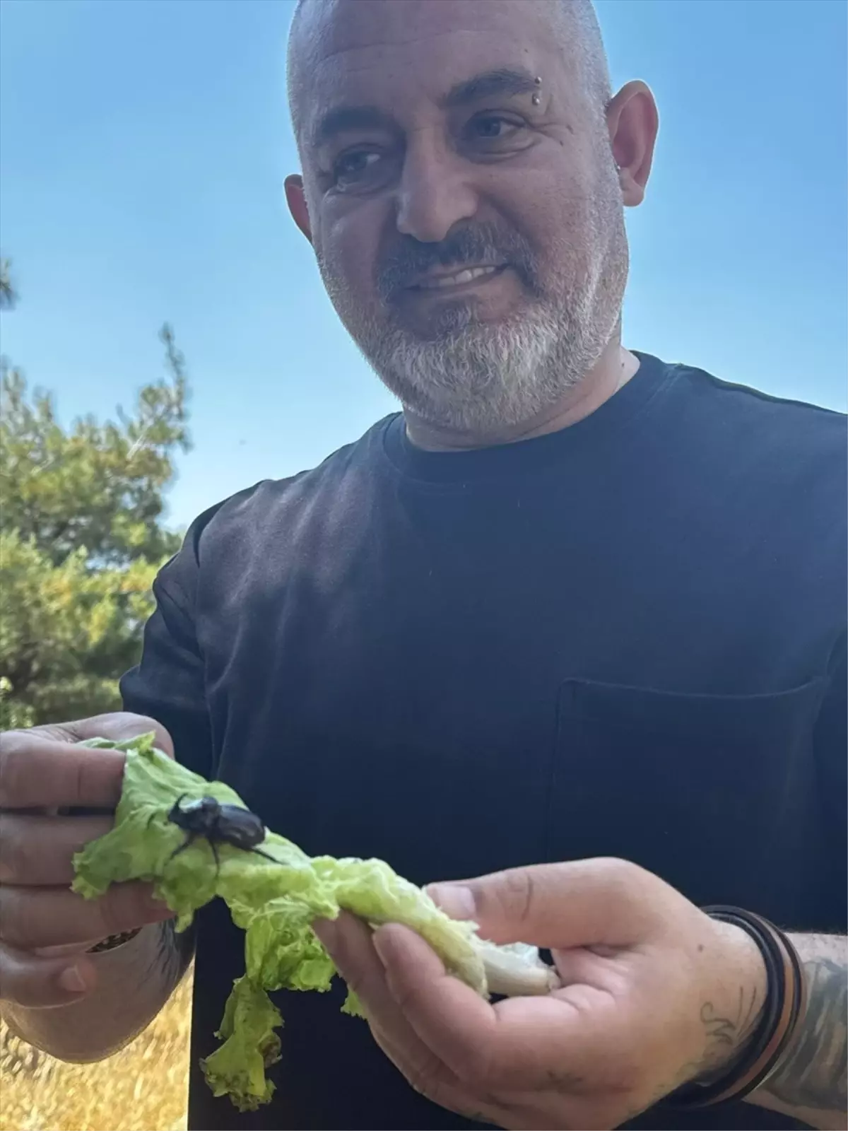 Nadir Gergedan Böceği Doğaya Salındı