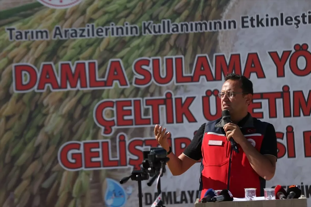 Su Sorunu ve Tarımda Planlı Üretim