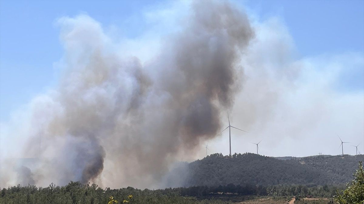 Çanakkale\'de Orman Yangınına Müdahale