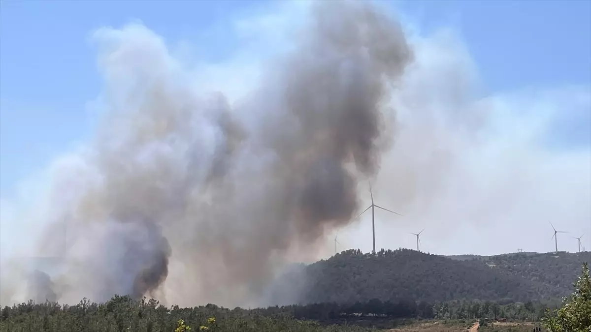 Çanakkale\'de Orman Yangınına Müdahale Devam Ediyor