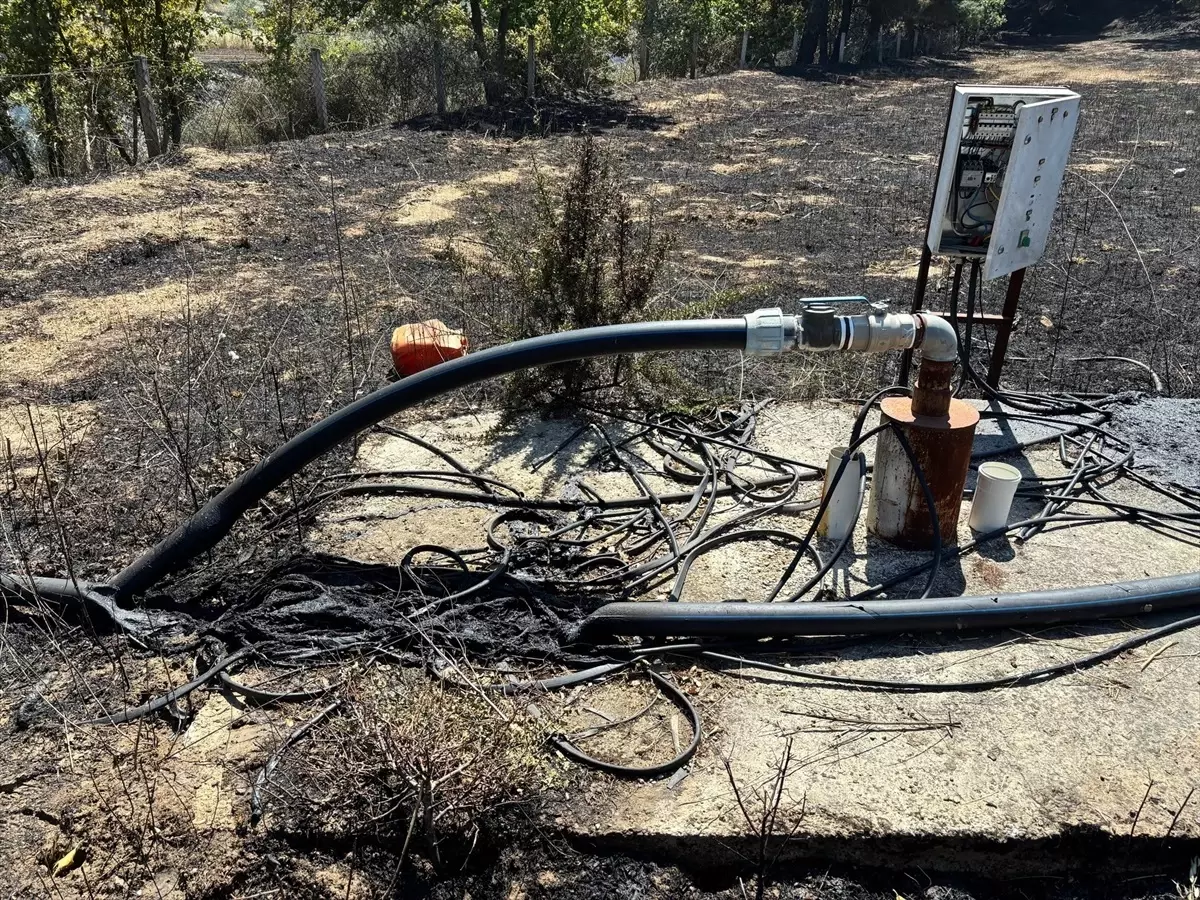 Çanakkale\'de Yangınlarla İlgili 6 Şüpheli