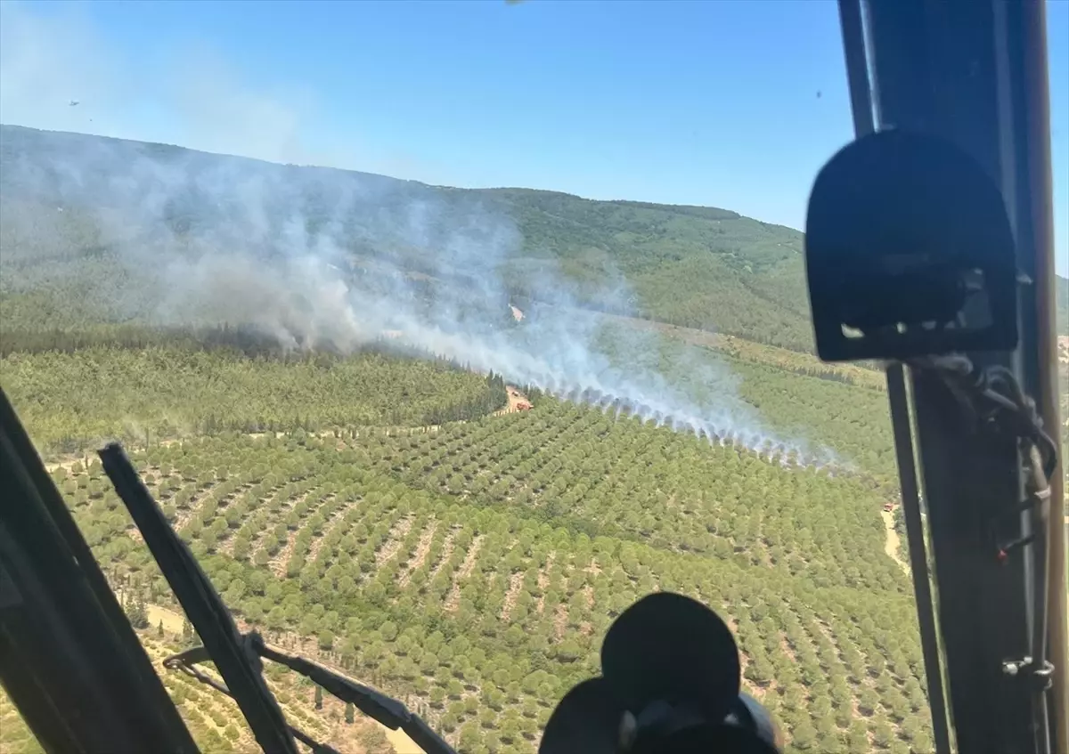 Çanakkale\'de Yangın Kontrol Altına Alındı