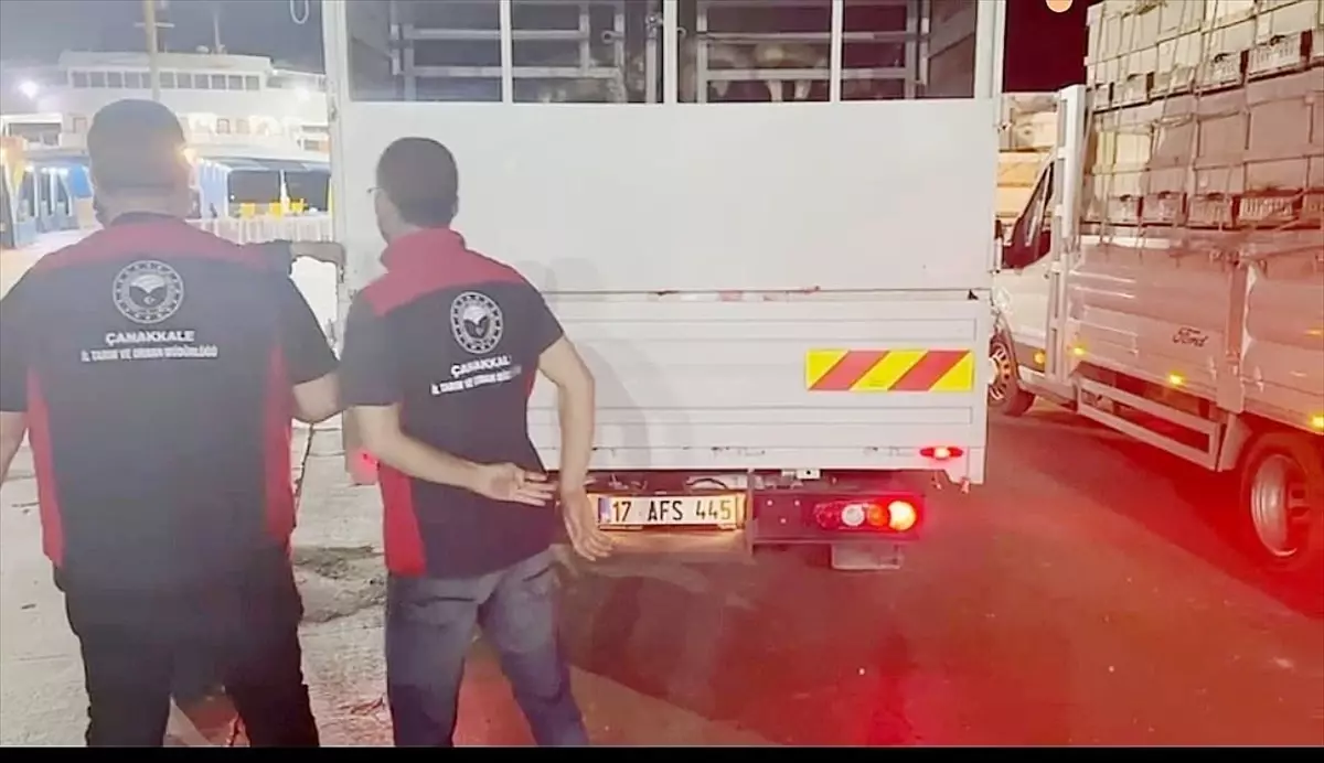 Çanakkale\'de Şap Hastalığı Denetimleri