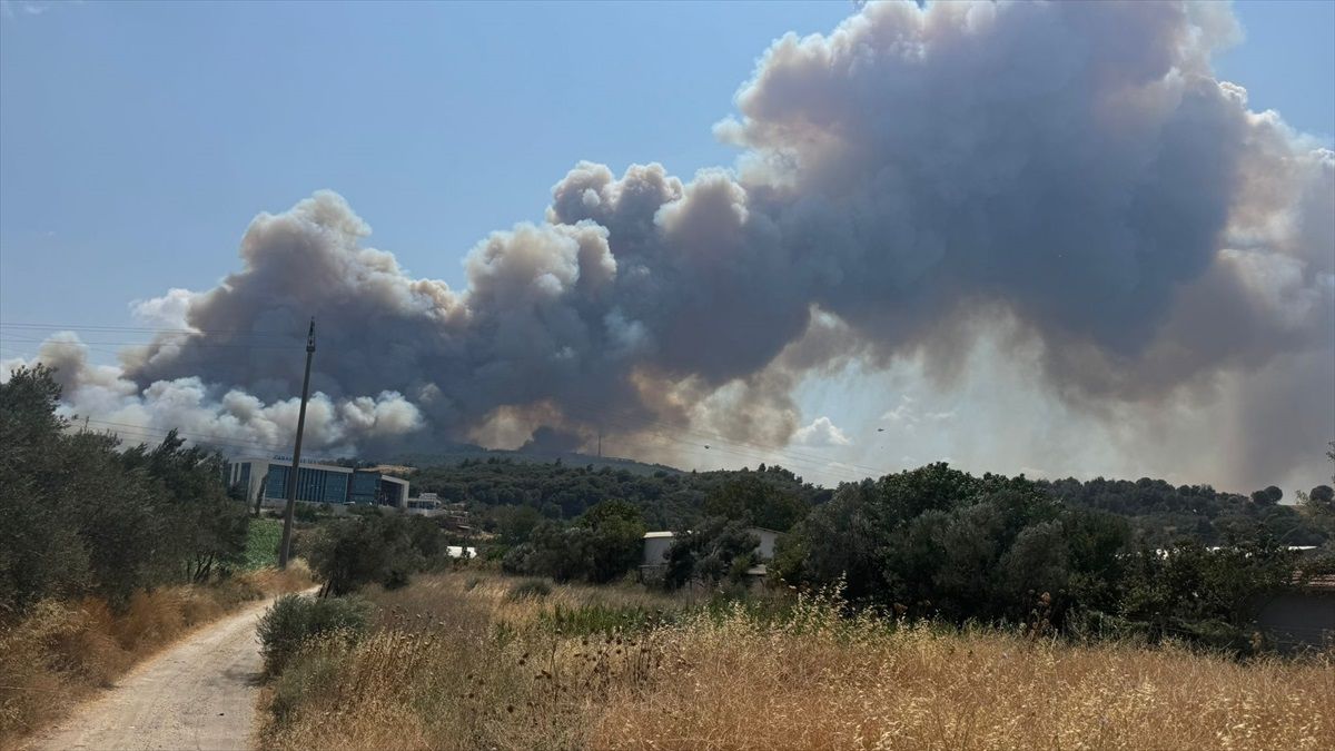 Çanakkale\'de Orman Yangınına Müdahale