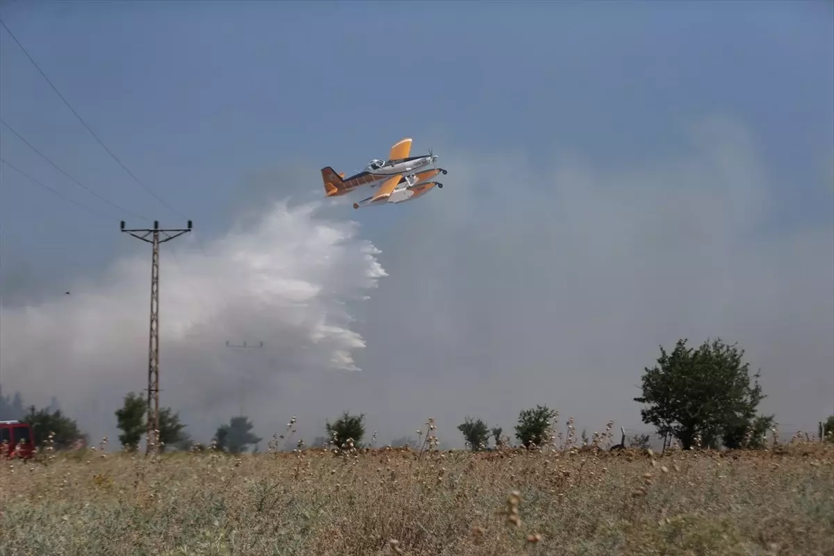 Çanakkale\'de Tarım Arazisinde Yangın