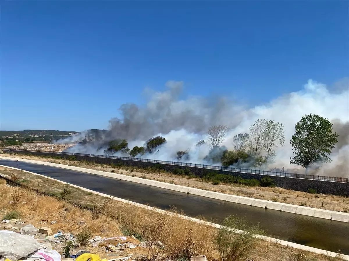 Ayvacık\'ta Orman Yangını
