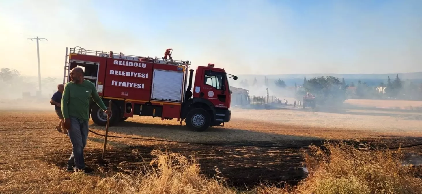 Gelibolu\'da Yangın Kontrol Altına Alındı
