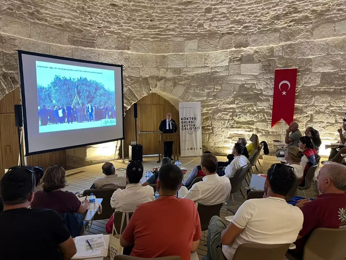 Zeytin Kültürü İçin Çalıştay