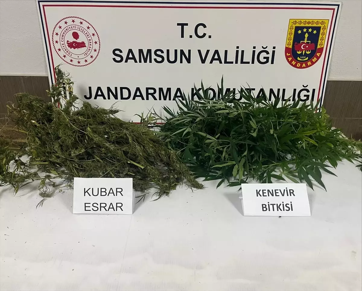 Samsun\'da Uyuşturucu Operasyonu