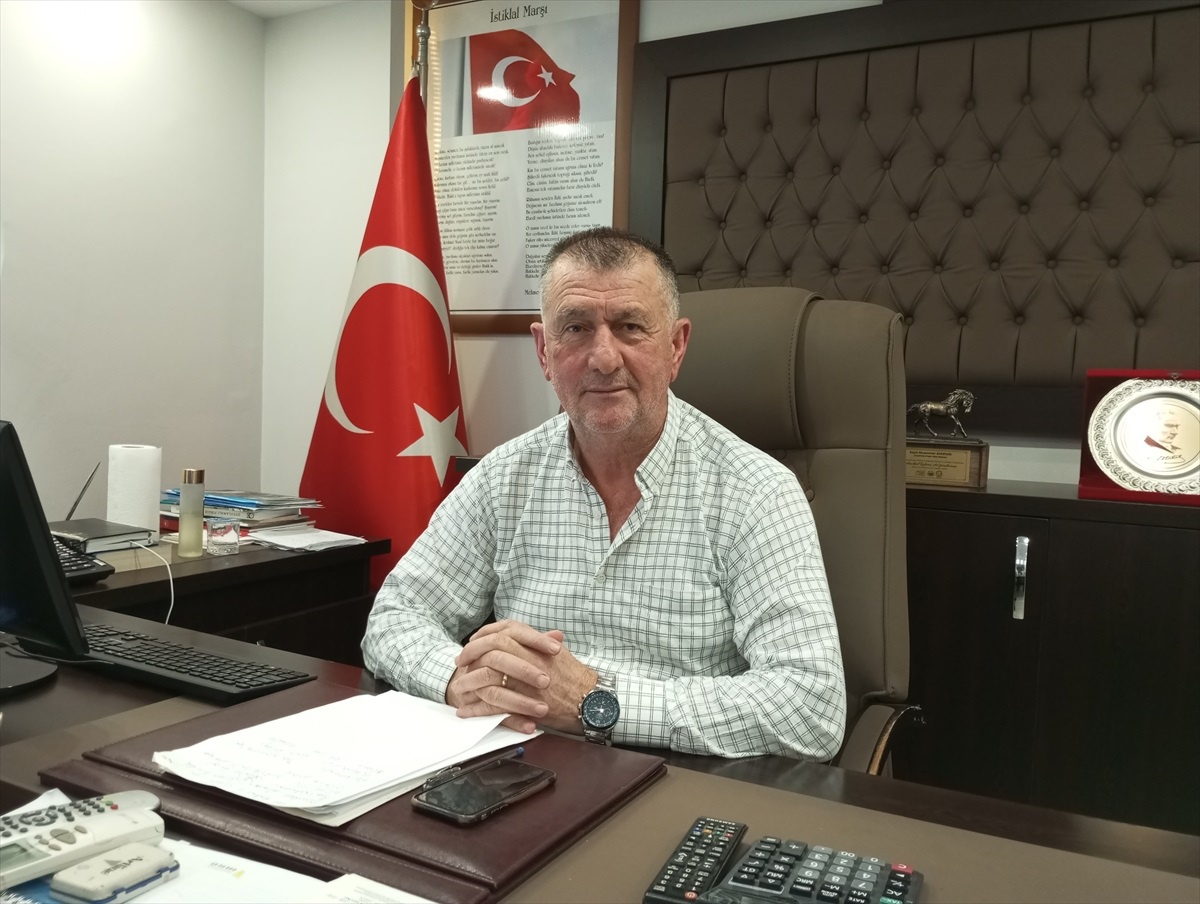 Fındıkta Randıman Artışı