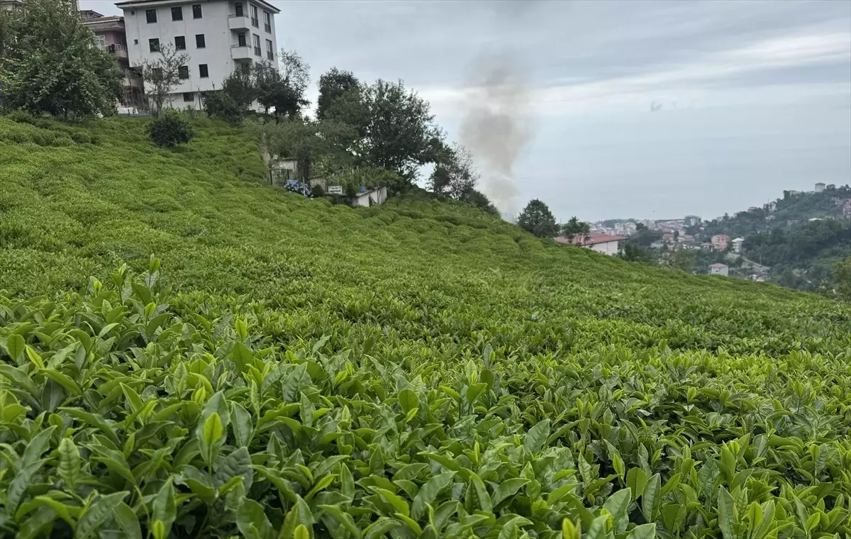 ÇAYKUR\'dan Yeni Çay Ürünleri Müjdesi