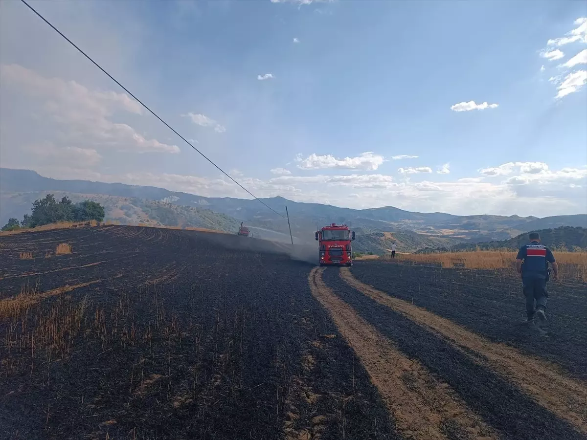 Çorum\'da Yangın: 25 Dönüm Arazi Zarar Gördü