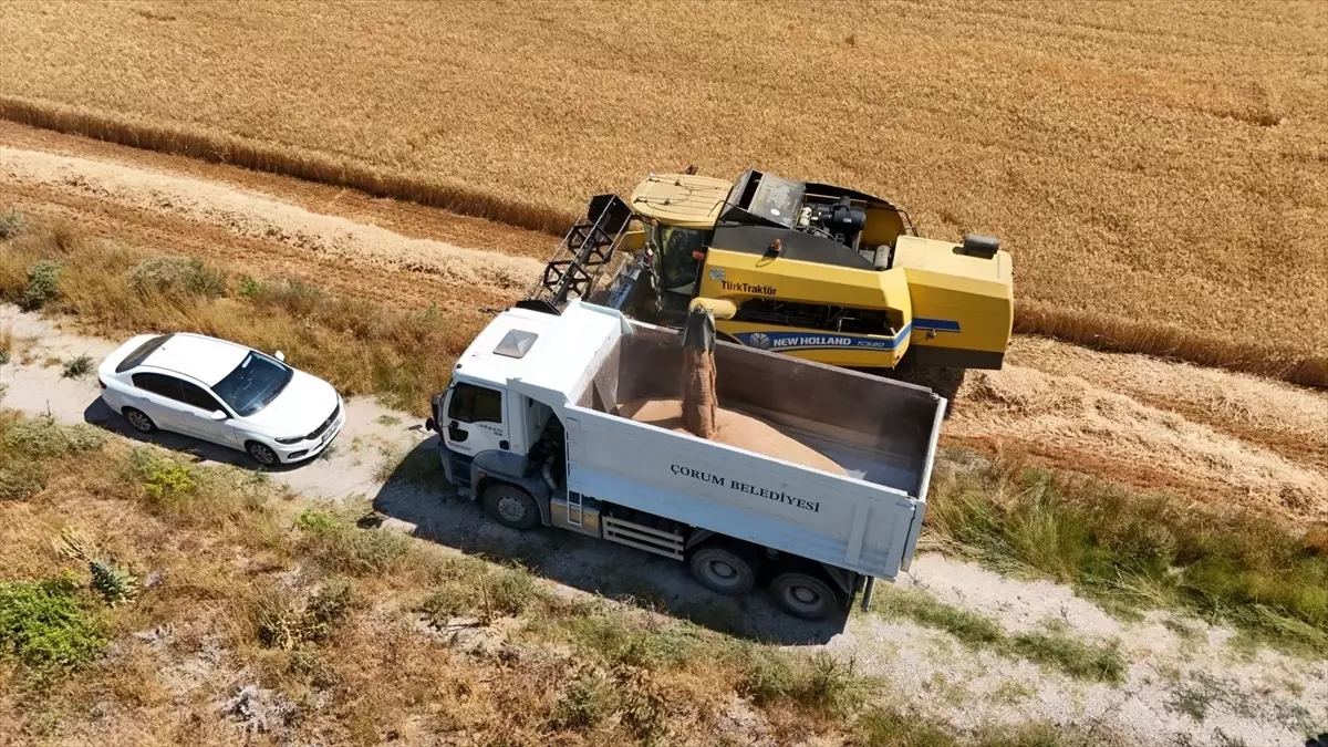 Çorum\'da İhtiyaç Sahiplerine Un Yardımı