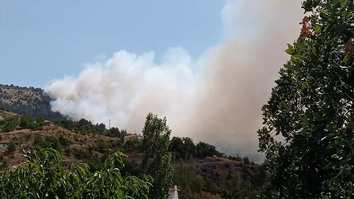 Çorum\'da Orman Yangınına Müdahale Devam Ediyor