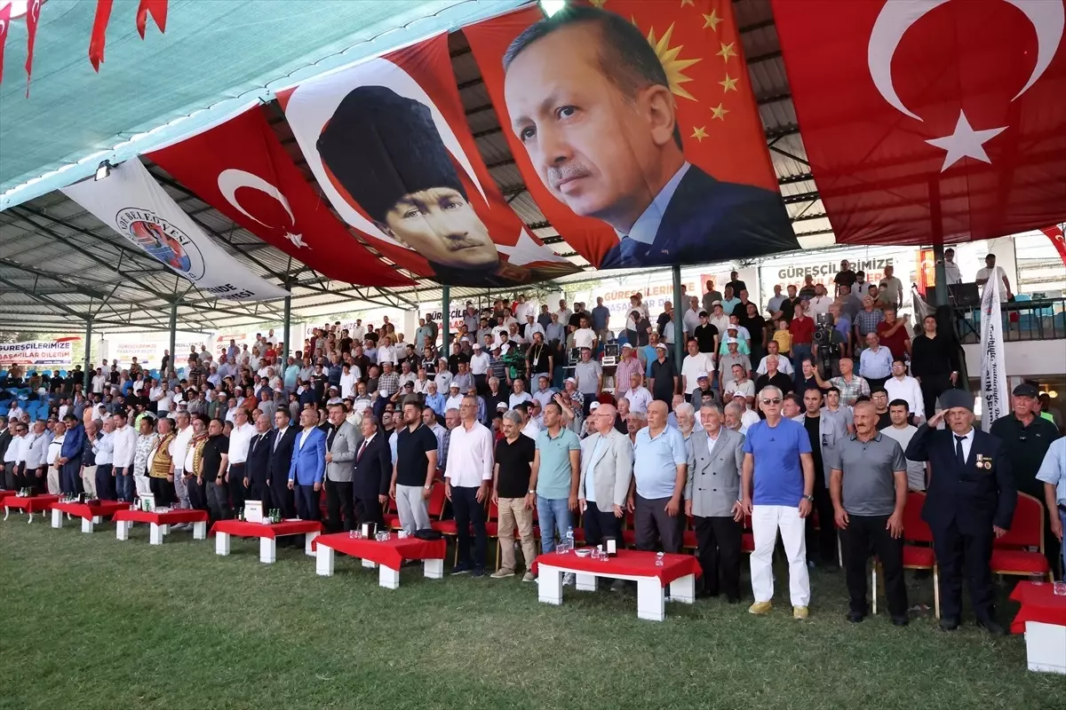 Darende\'de Zengibar Karakucak Şampiyonası