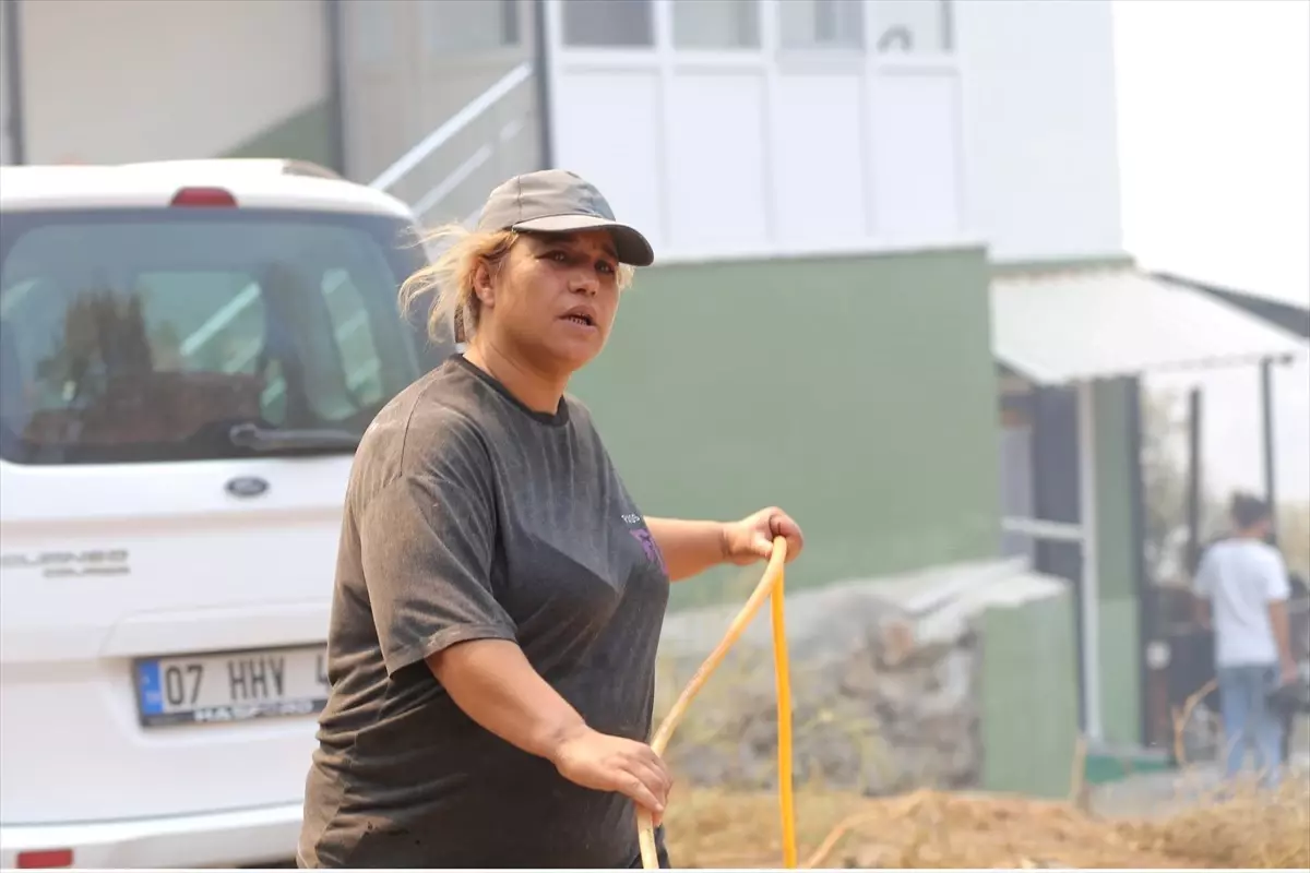 Malatyalı Çift, Alanya Yangınına Karşı Mücadele Ediyor