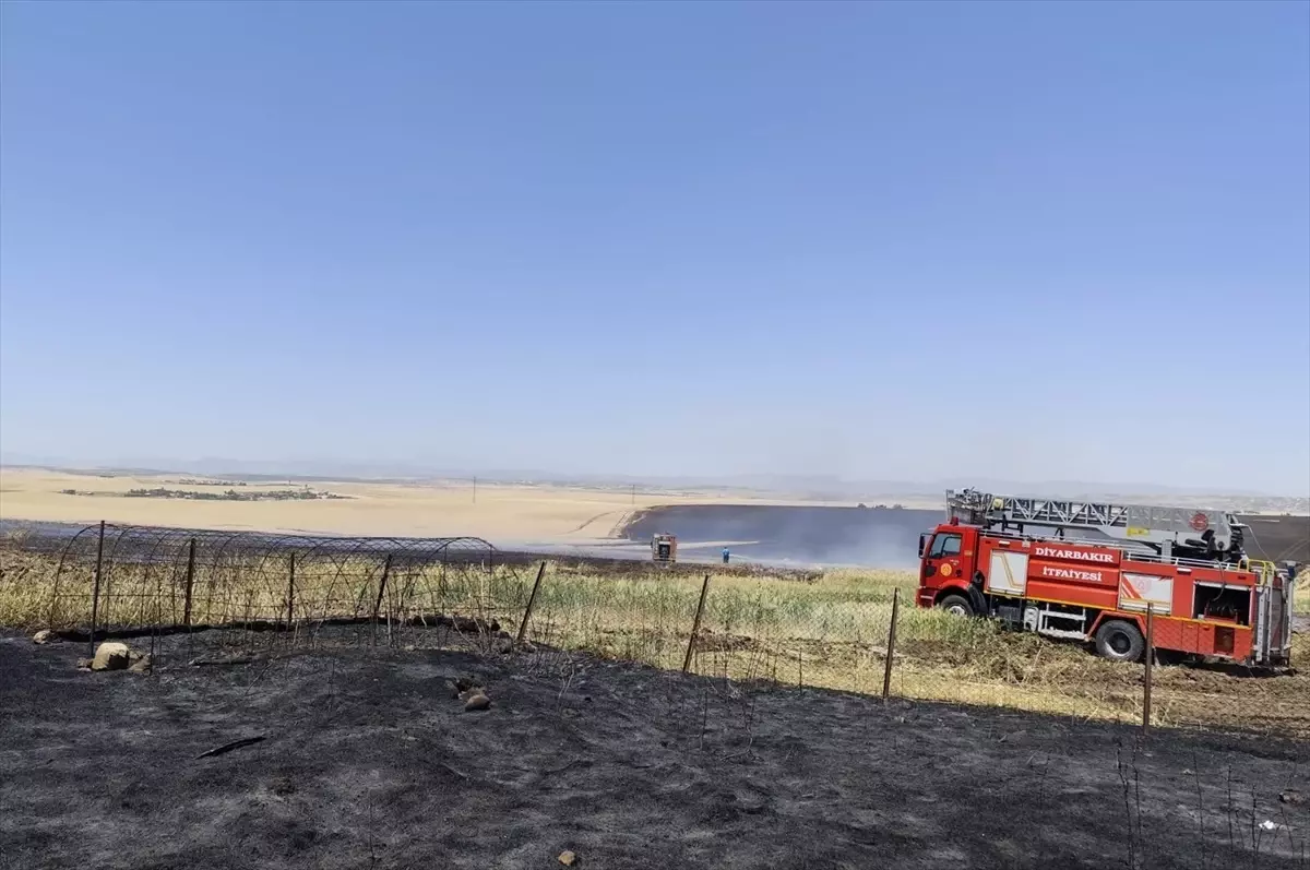 Diyarbakır\'da Tarım Arazisinde Yangın