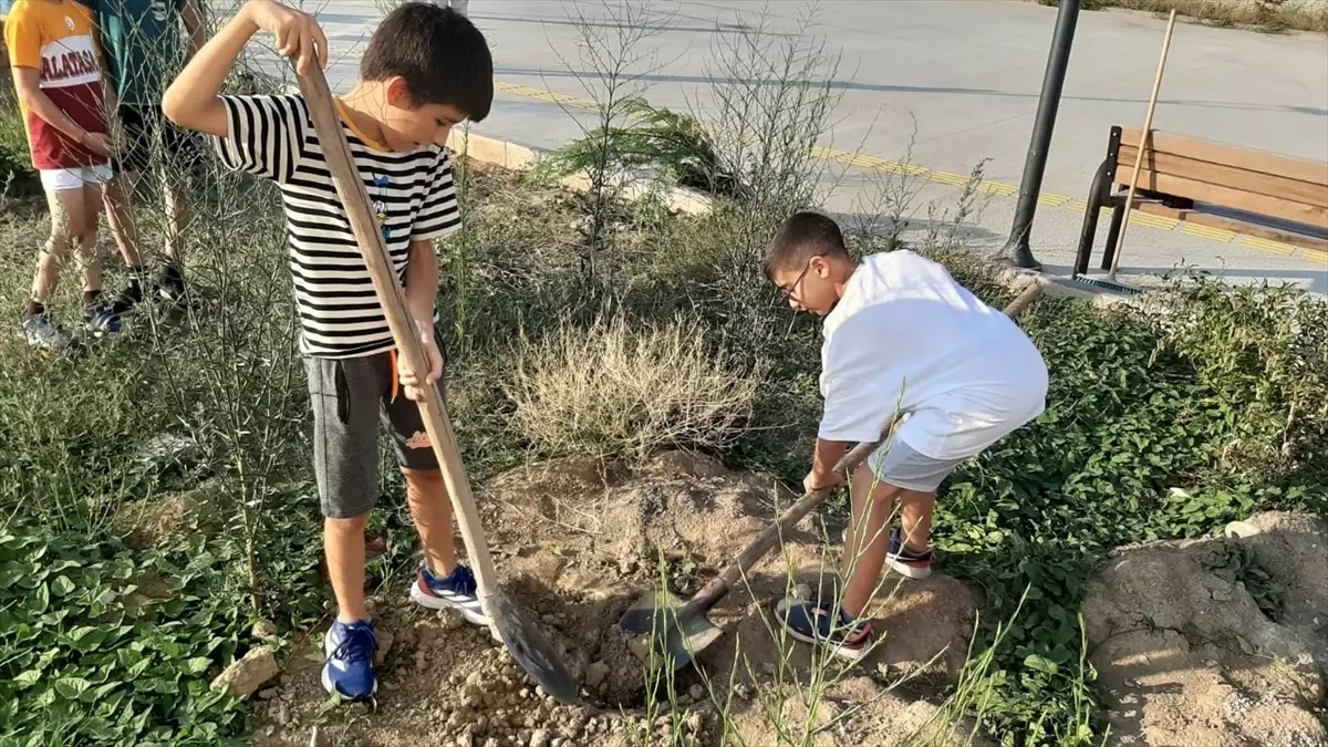Öğrenciler Fidan Dikti