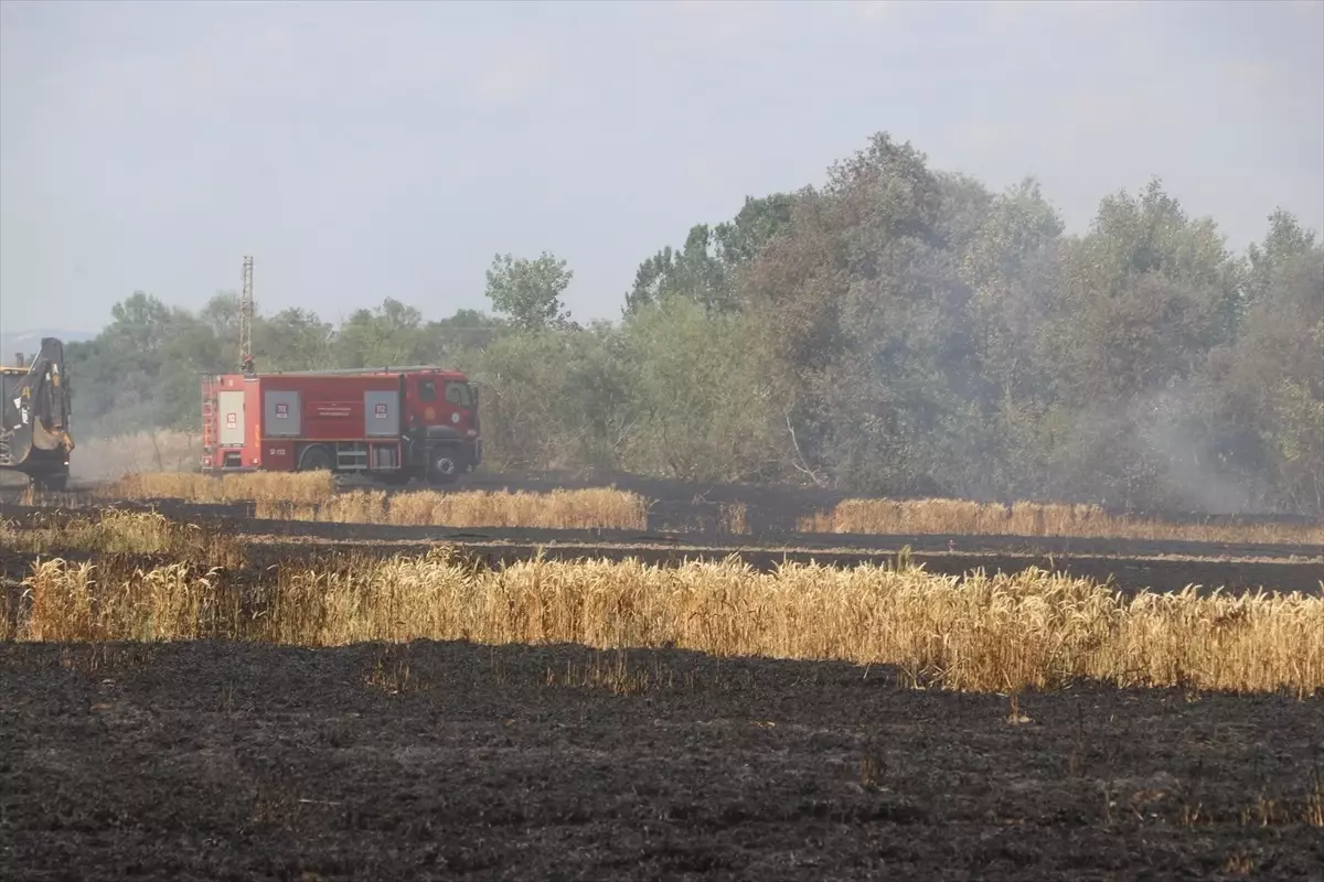 Edirne\'de Yangın: 10 Dekar Buğday Zarar Gördü
