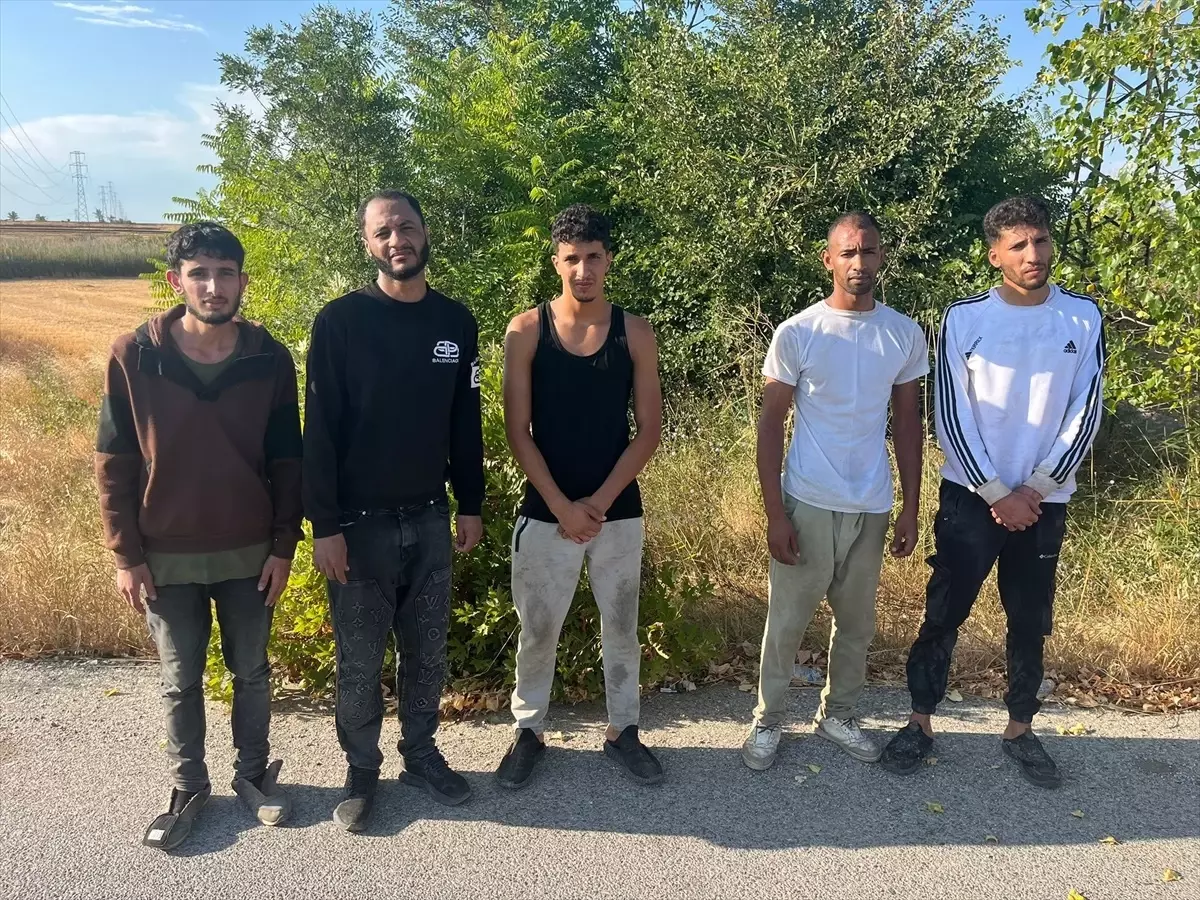 Edirne\'de Düzensiz Göçmen Operasyonu