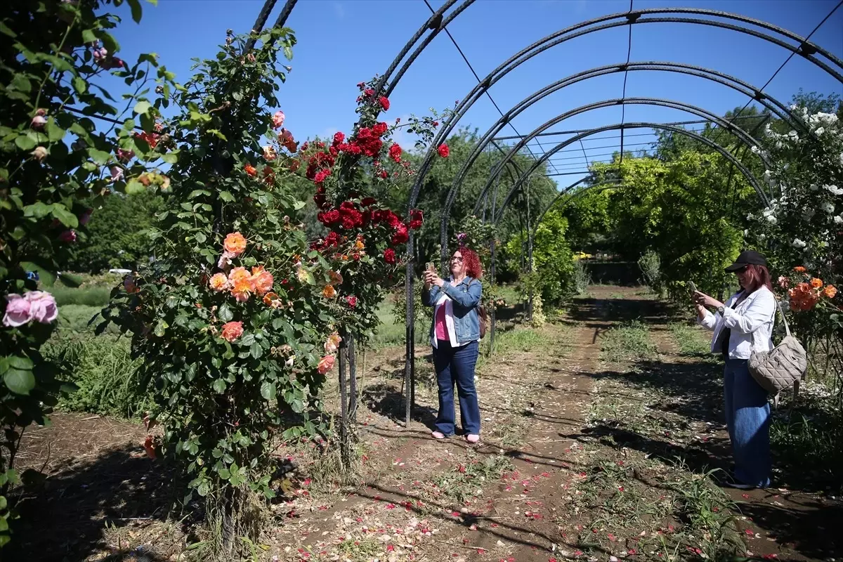 Edirne\'de \'Koku Tüneli\' Açıldı