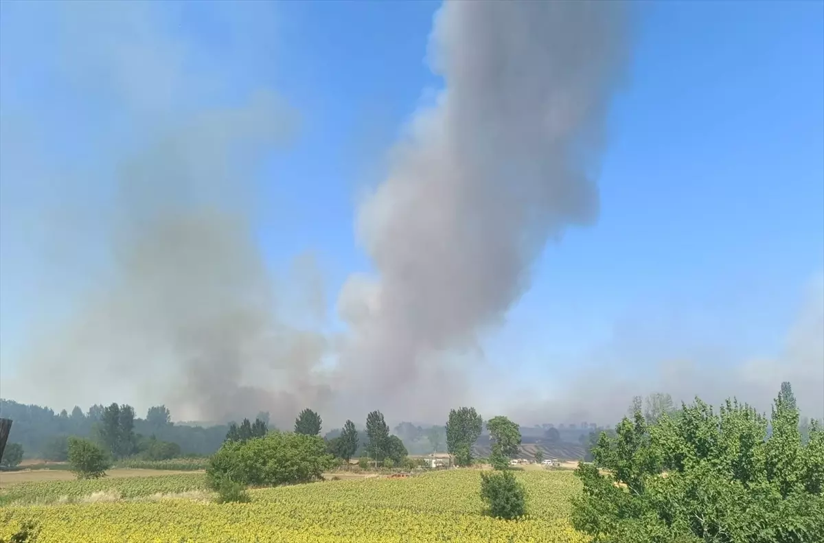 Edirne\'de Orman Yangını Söndürüldü