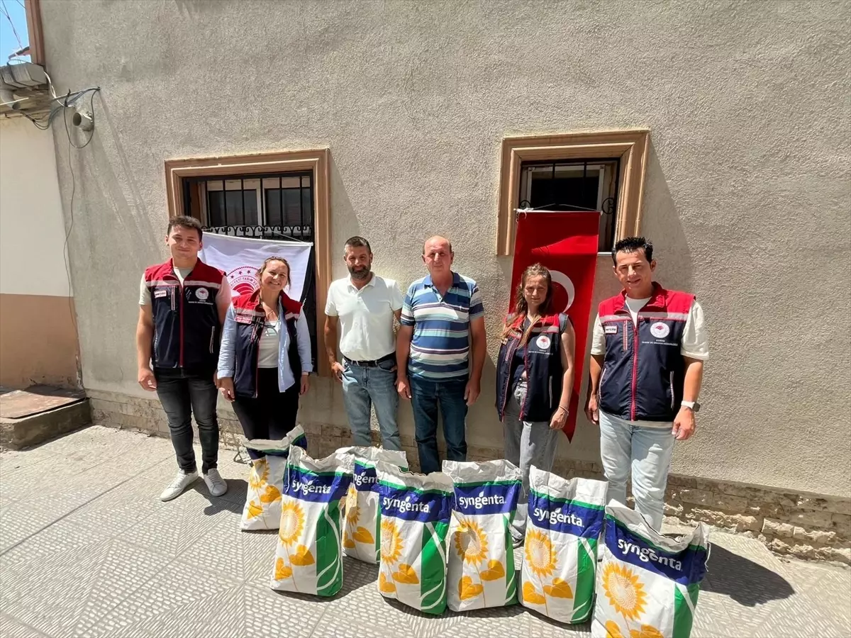 Edirne\'de Çiftçilere Ayçiçeği Tohumu Desteği