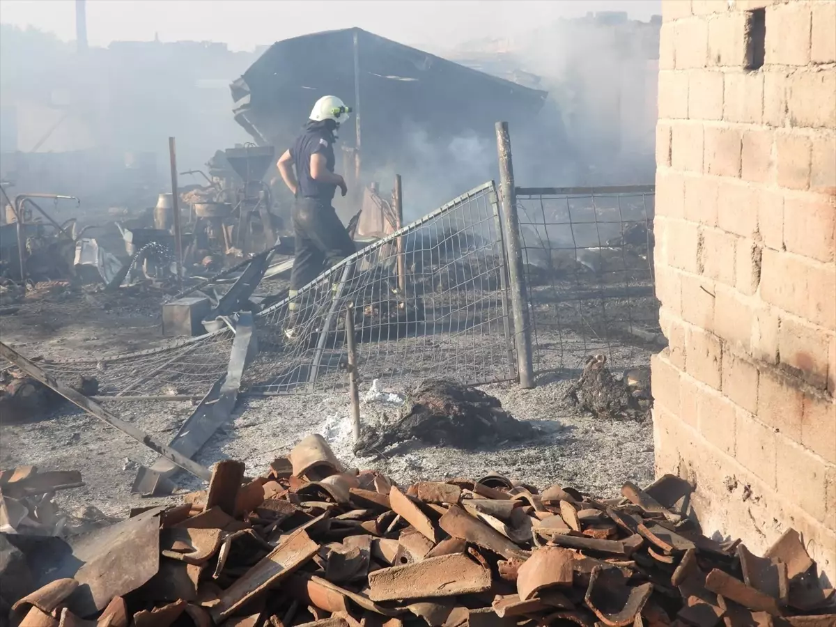 Edirne\'de Yangında 80 Hayvan Telef Oldu