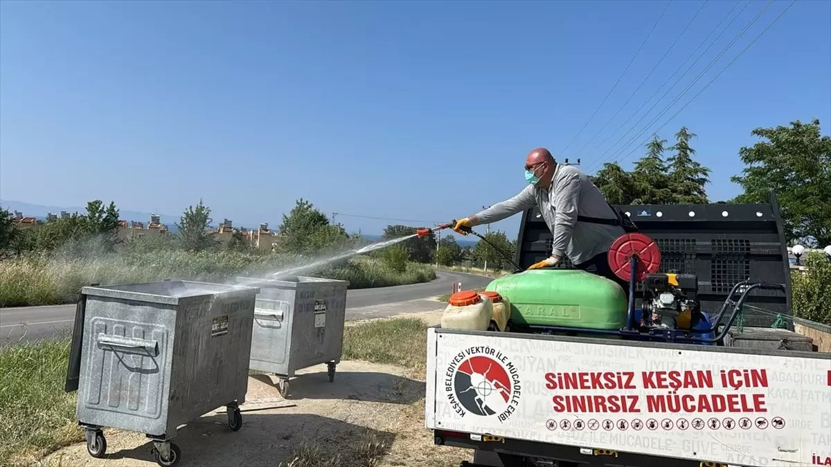 Edirne\'de Kedilere ve Köpeklere Aşı ve Mikroçip