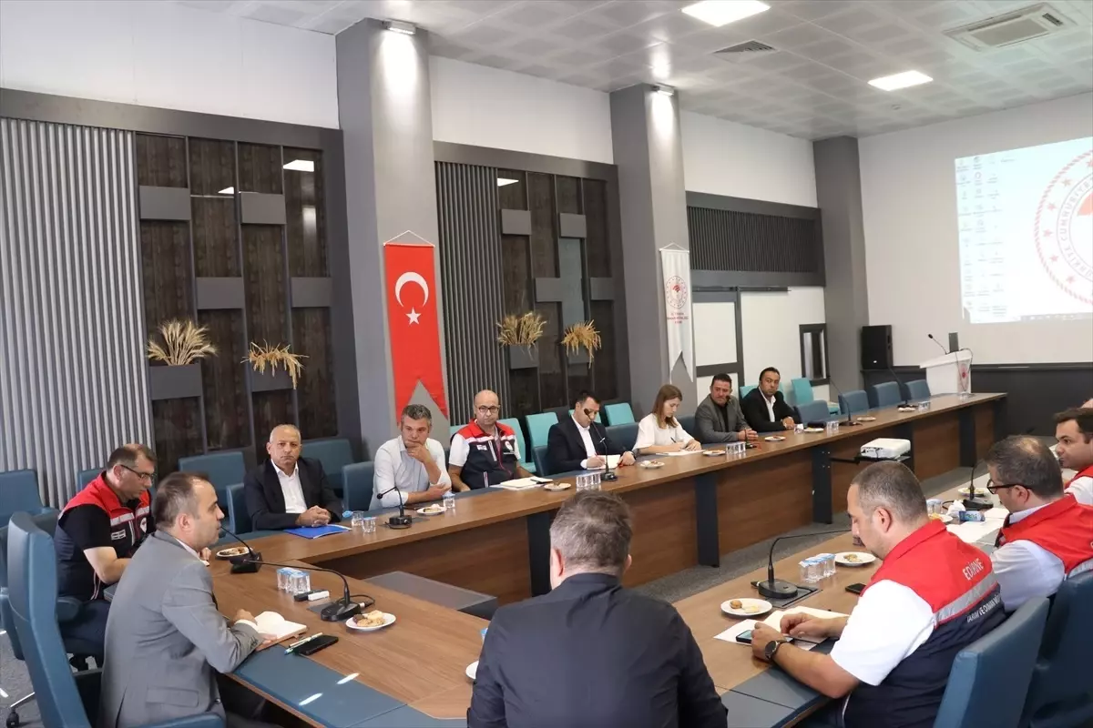 Gözde Kabasakal\'ın Yeni Romanı Yayımlandı