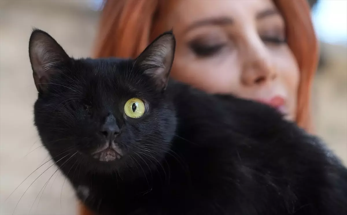 Zeytin\'in Umut Dolu İyileşme Hikayesi