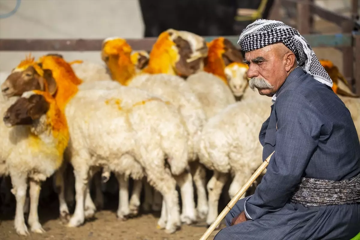 Erbil\'de Kurban Bayramı\'nda Hayvan Satışları Düşüyor