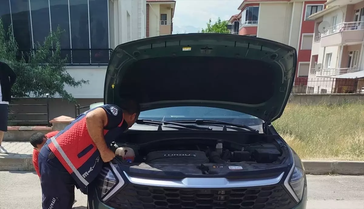 Otomobilin Motorundan Kedi Yavruları Kurtarıldı