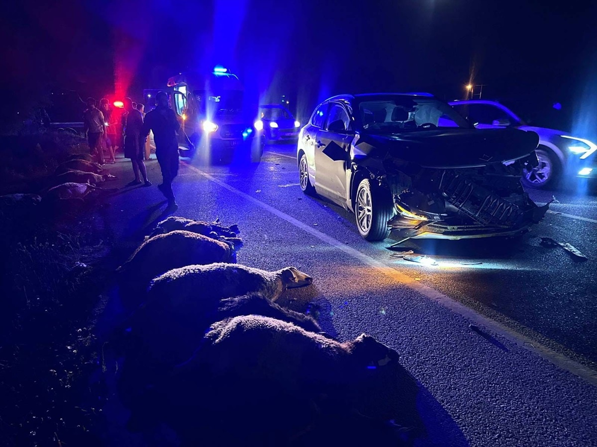 Erzincan\'da SUV Aracın Çarptığı Hayvanlar Telef Oldu