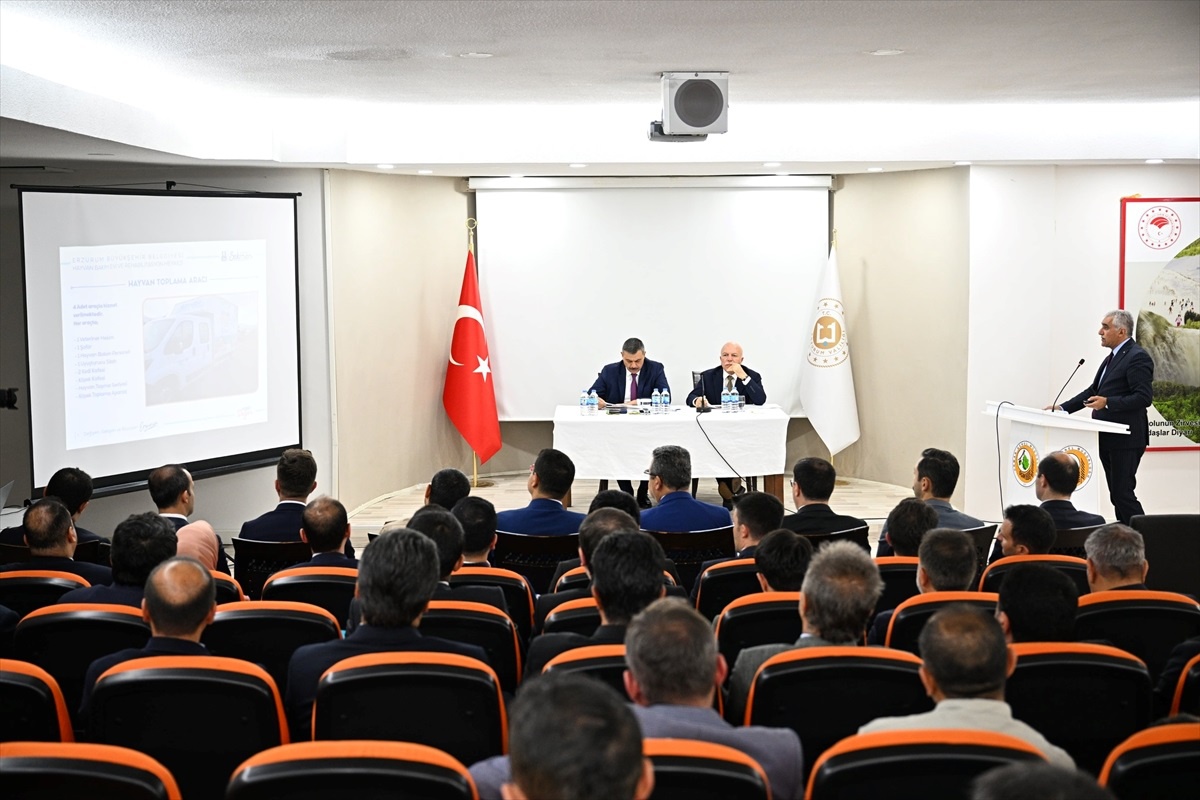 Erzurum\'da Çoban Köpekleri Mikroçip ile Sahiplendirilecek