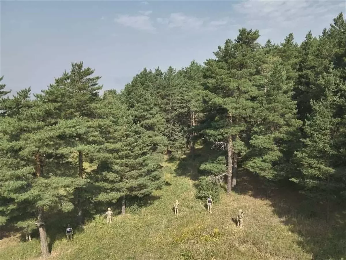 Ormanlık Alanda Mangal Yakanlara Ceza