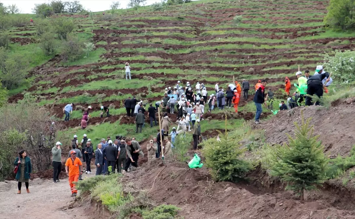 TBMM\'nin 105. Yılı İçin 105 Bin Fidan Dikildi