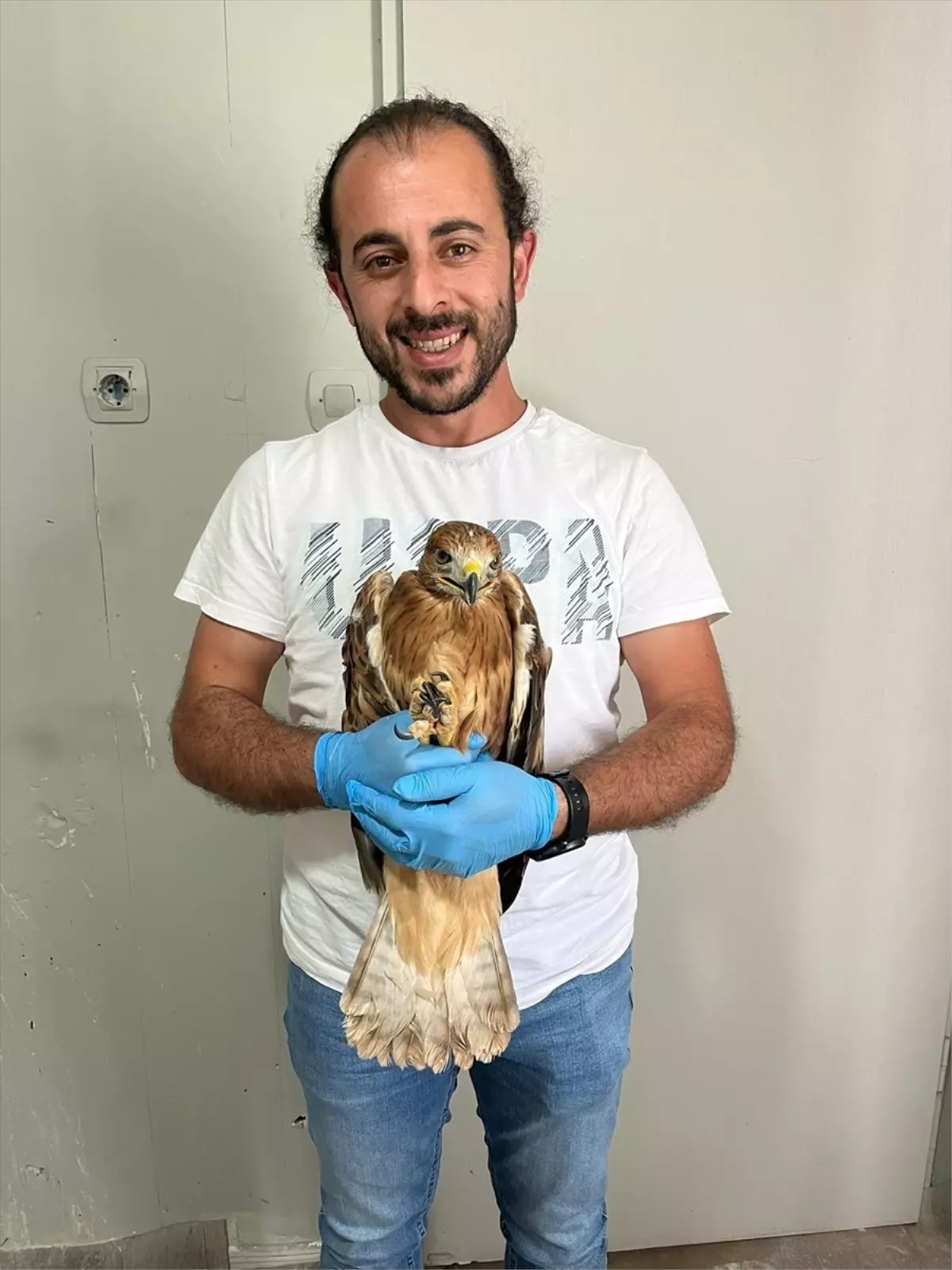 Yaralı Şahin Doğaya Kavuştu