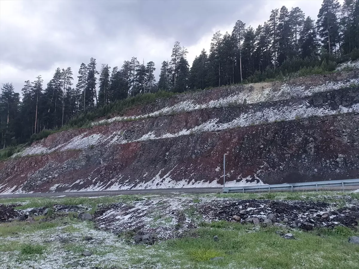 Erzurum ve Ardahan\'da Dolu ve Sağanak Yağış