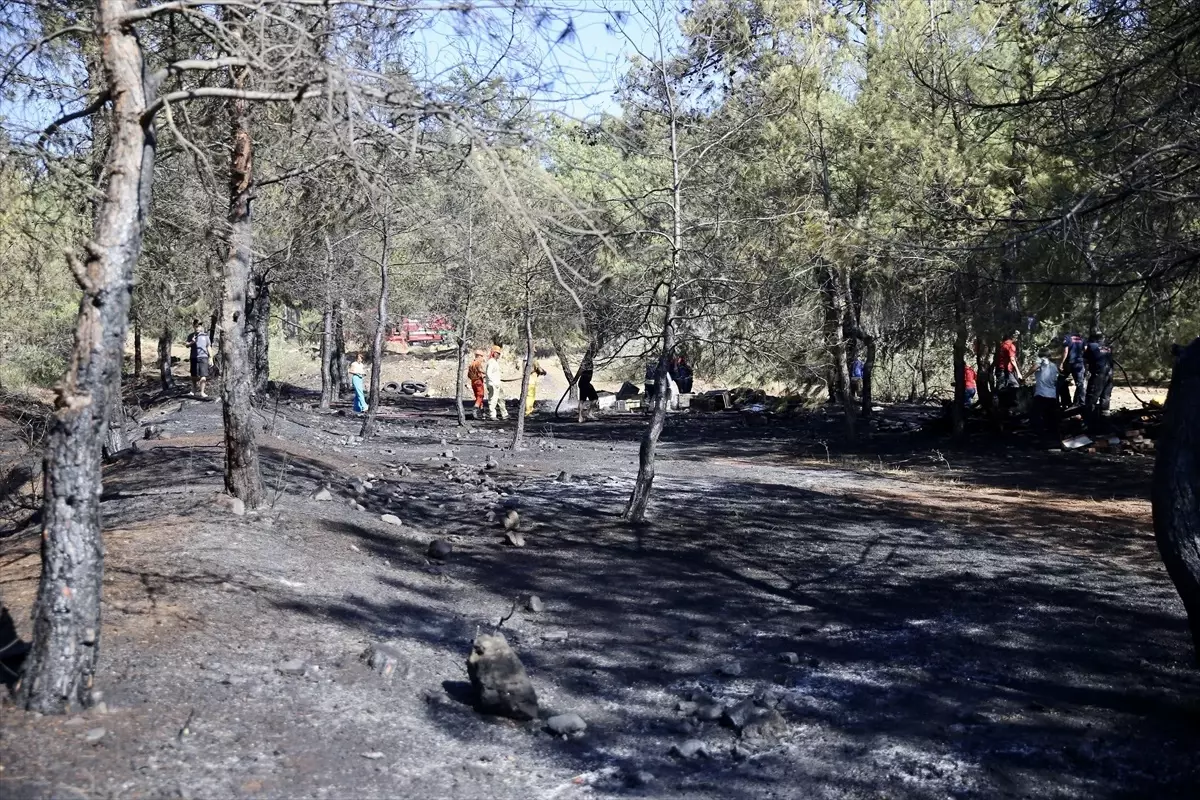 Fethiye\'de Orman Yangını Söndürüldü
