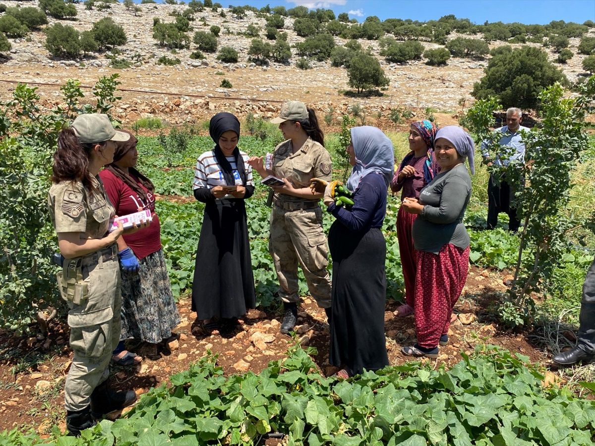 Gaziantep\'te Anız Yangınlarına Denetim