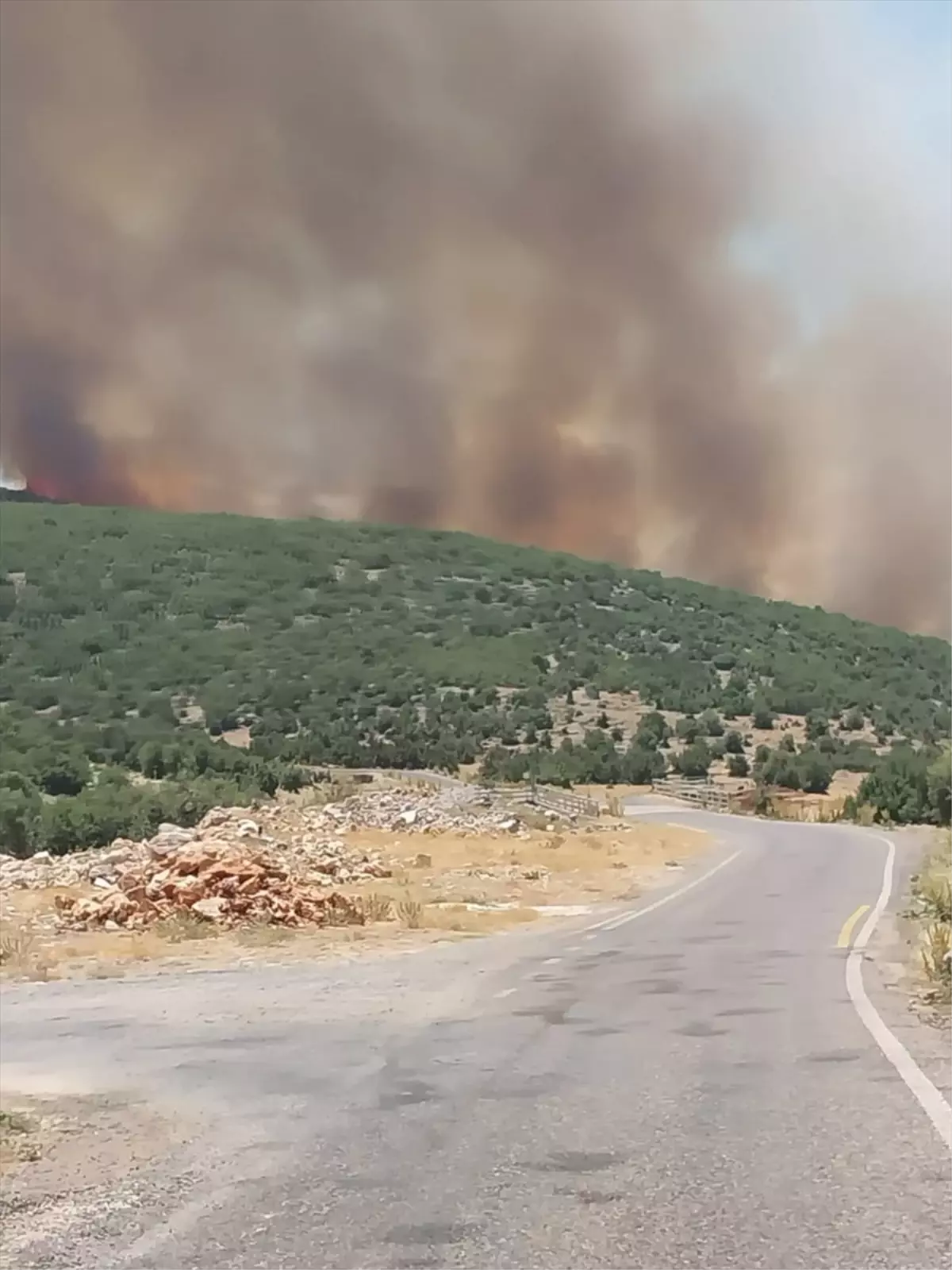 Gaziantep\'te Orman Yangını