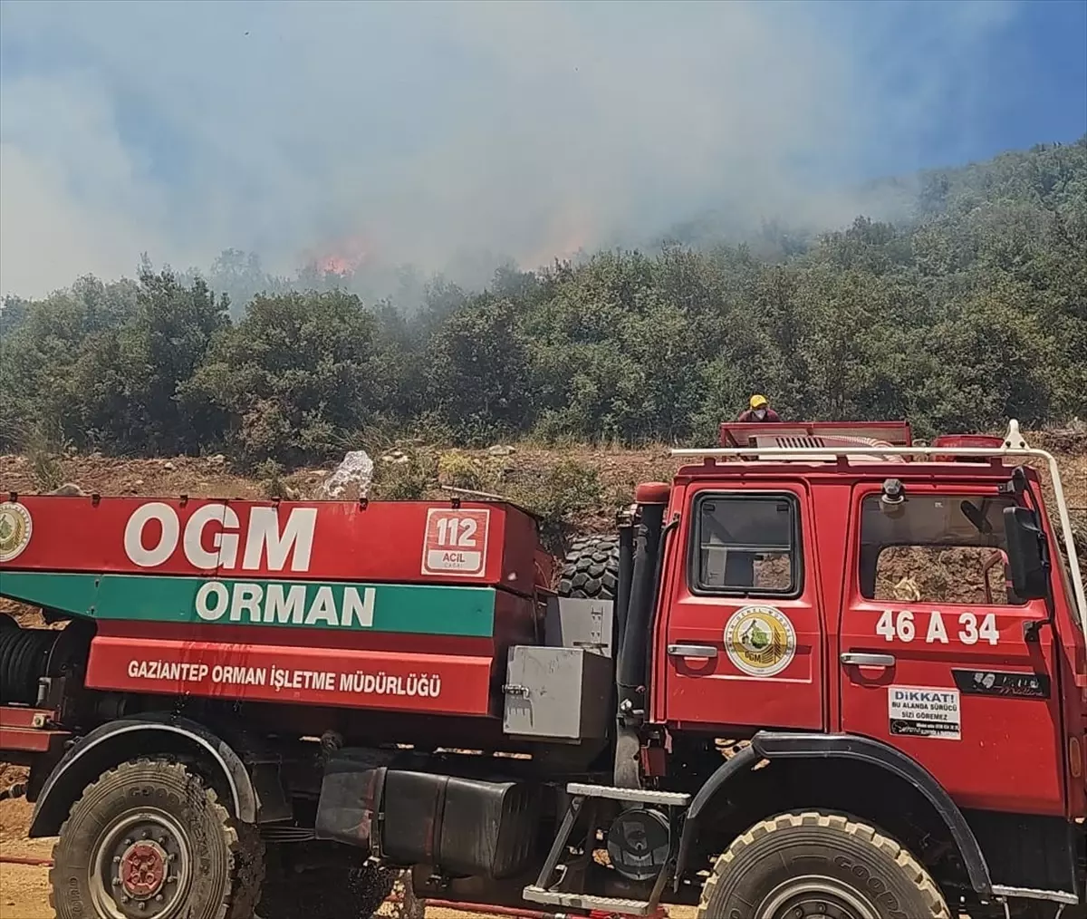 Gaziantep\'te Orman Yangını Sönderildi