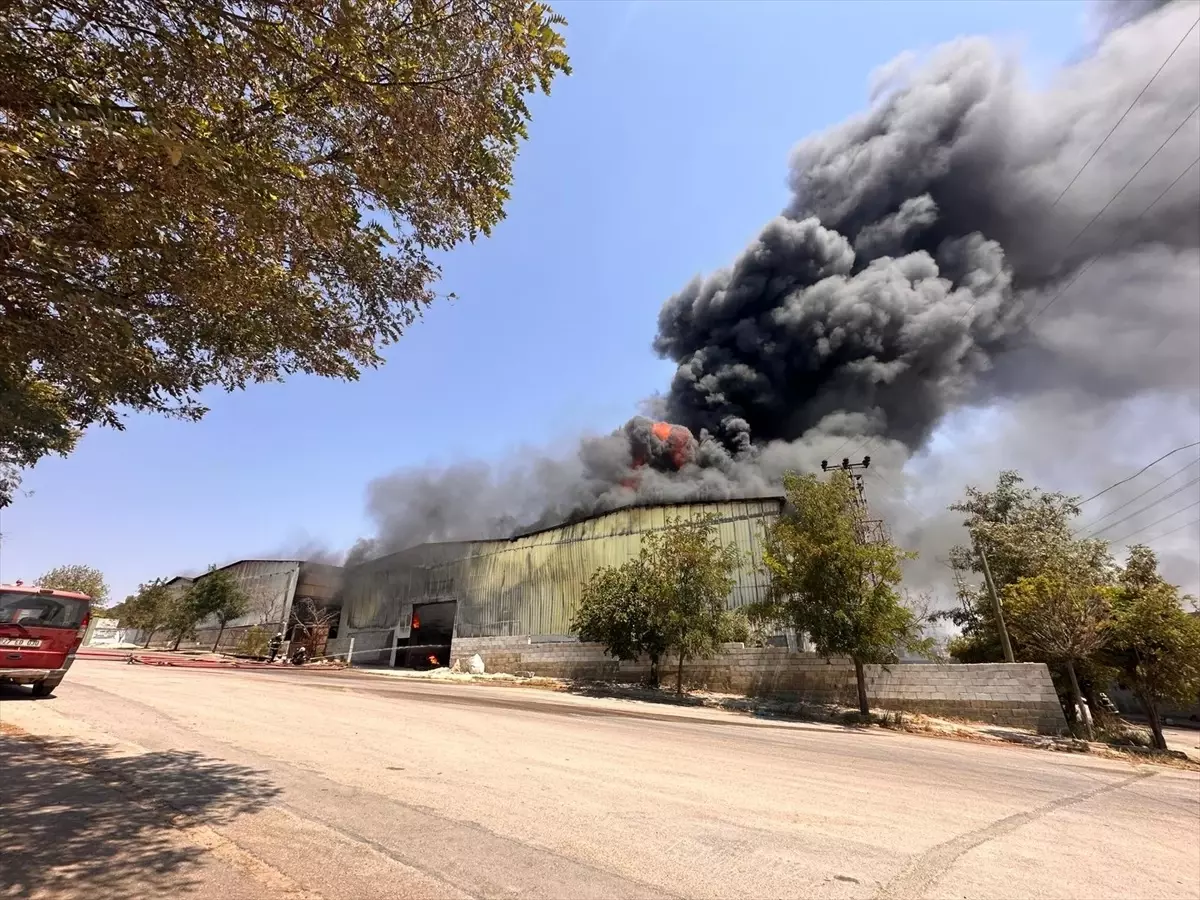 Gaziantep\'te Halı Fabrikasında Yangın
